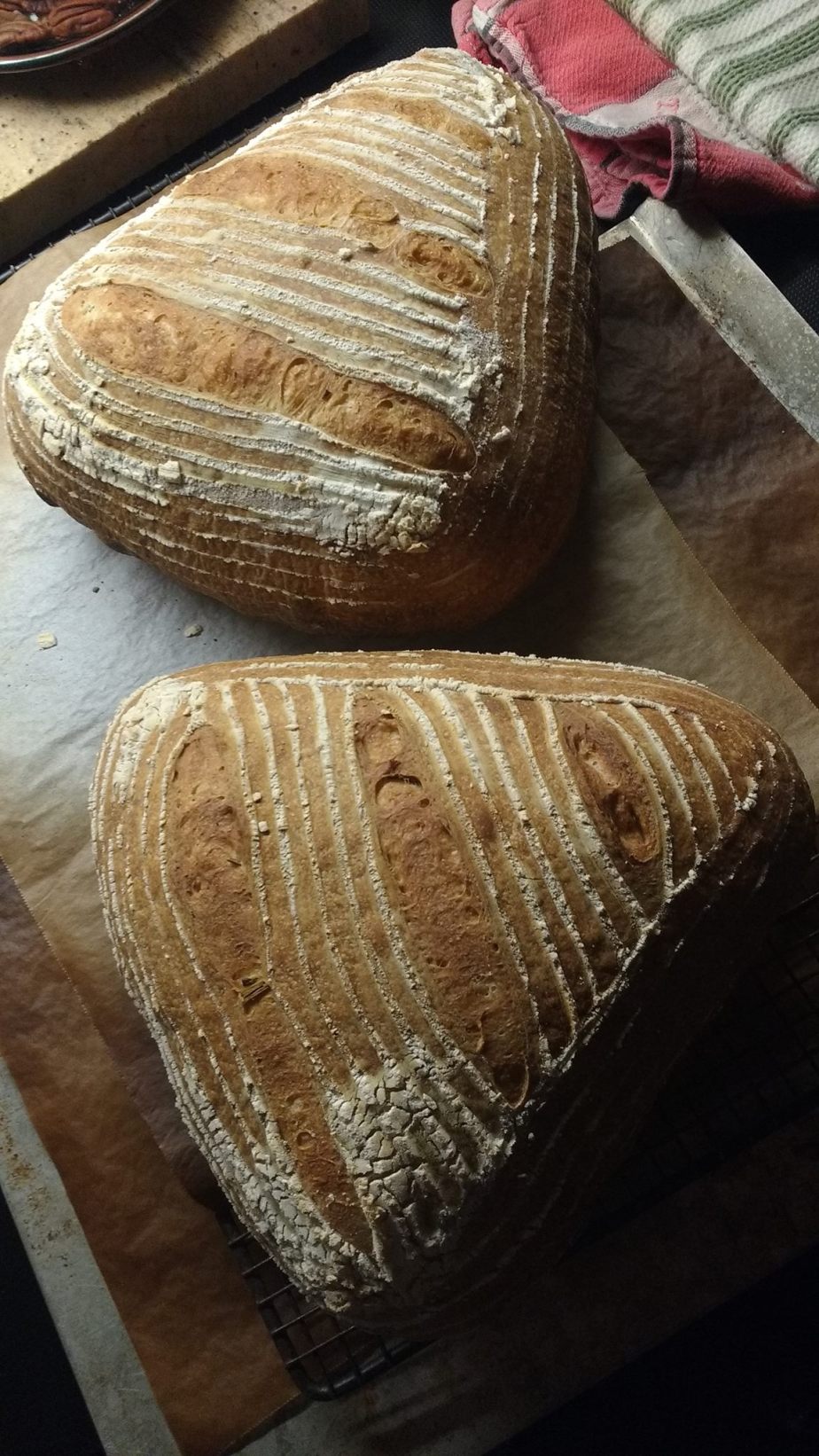 31453699_10216167065839852_970176667706195968_o