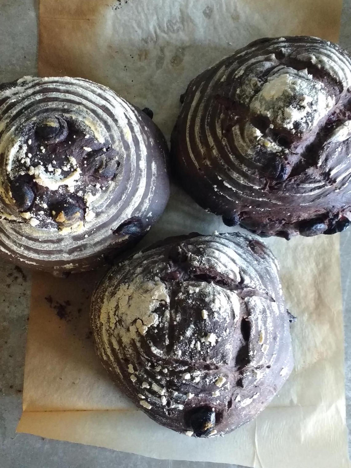 31899176_10216203213343517_2754964513835974656_o