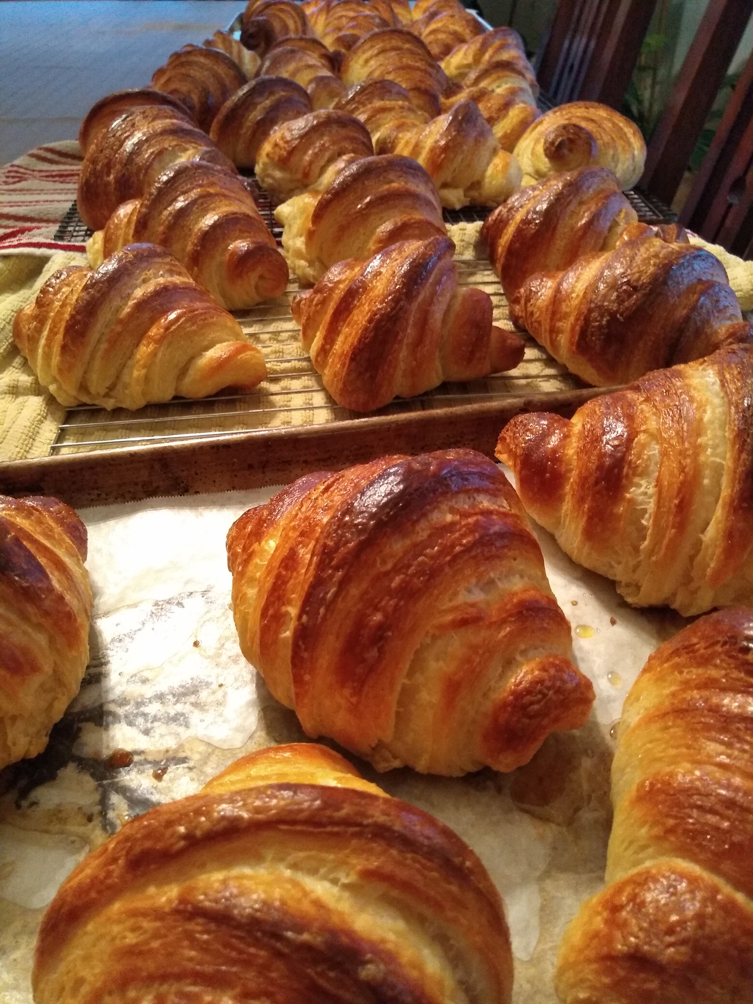 Croissants – Early Riser Baking